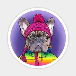 Frenchie in Winter Magnet